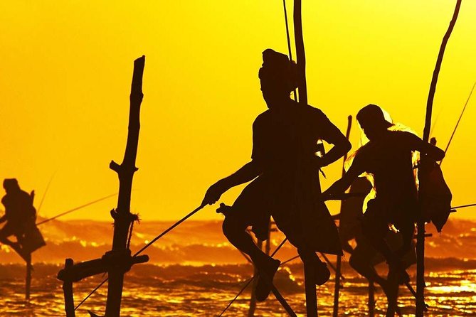 Family-Friendly Private Galle City Tour - Galle Fort Exploration