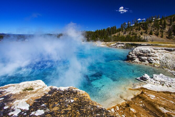Family Friendly Private Tour at Yellowstone National Park W/Lunch - Inclusions