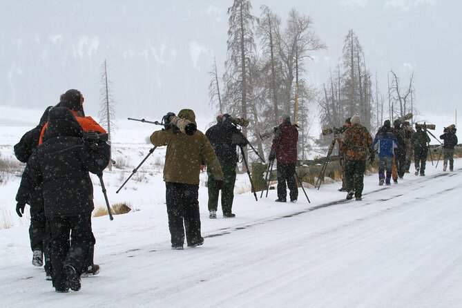 Family Friendly Private Tour at Yellowstone National Park W/Lunch - Reviews and Feedback