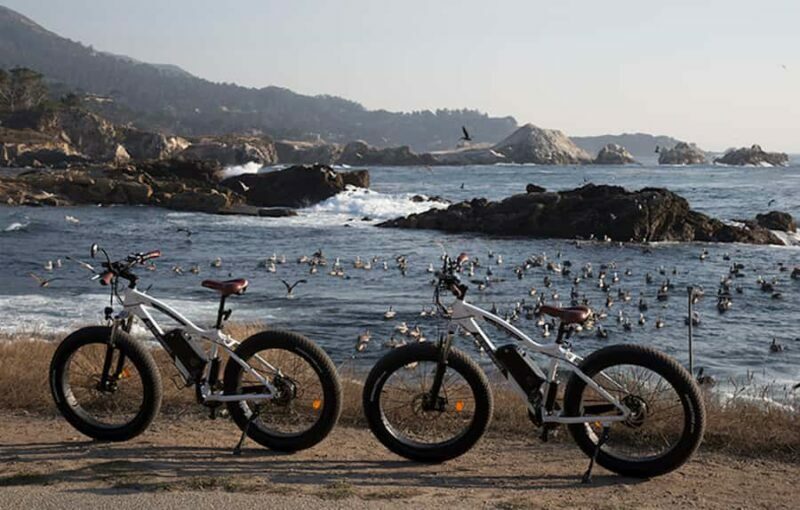 "Family Friendly" Scenic E-Bike Tour along 17 Mile Dr - A Deep Dive Into the Experience