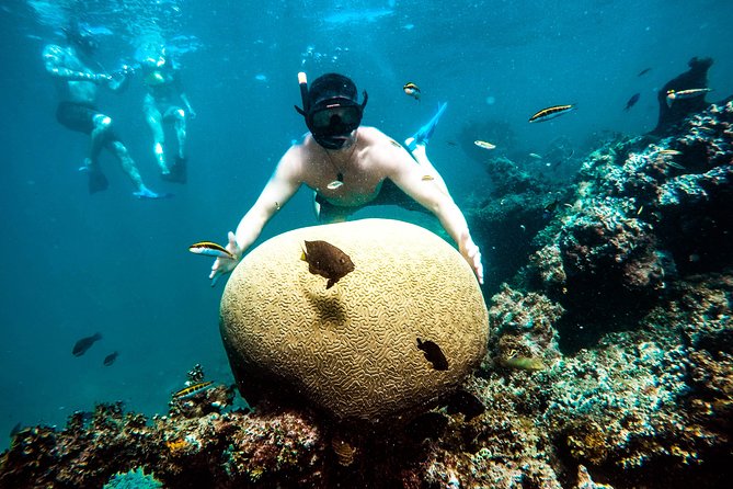 Family Friendly Snorkel Cruise and Seafood Lunch in Punta Cana - Safety and Accessibility
