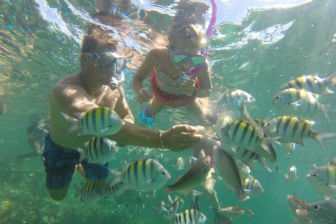 Family Friendly Snorkel Cruise and Seafood Lunch in Punta Cana - Marine Life Encounters