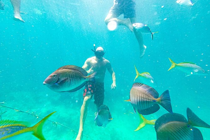 Family Friendly Snorkel Cruise and Seafood Lunch in Punta Cana - Onboard Amenities