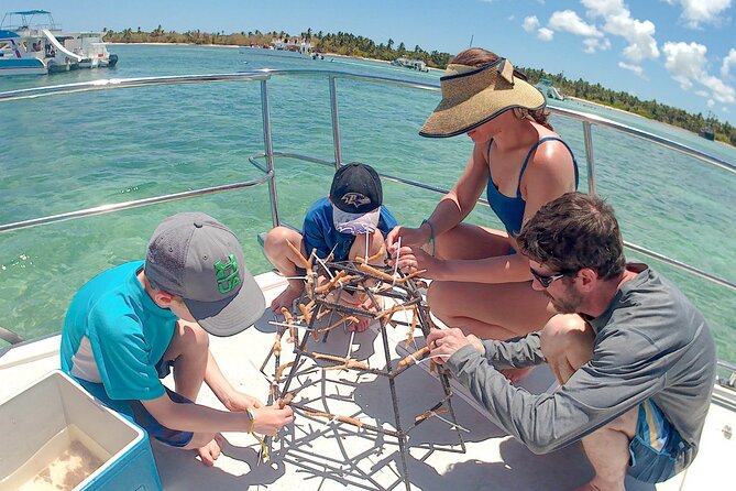 Family Friendly Snorkel Cruise and Seafood Lunch in Punta Cana - Transportation and Logistics