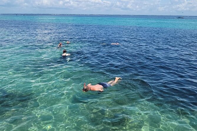 Family Friendly Snorkeling and Dolphin Tour - Positive Testimonials