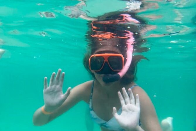 Family Friendly Snorkeling and Dolphin Tour - Constructive Feedback