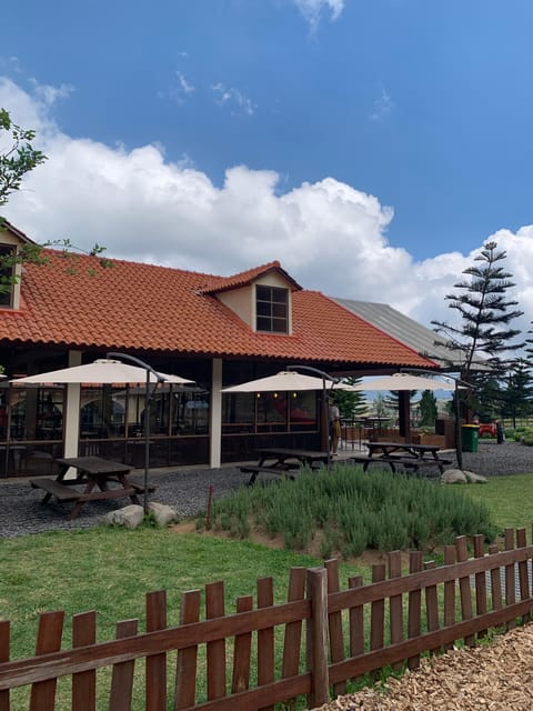Family-Friendly Tour to North Bali - Itinerary Highlights