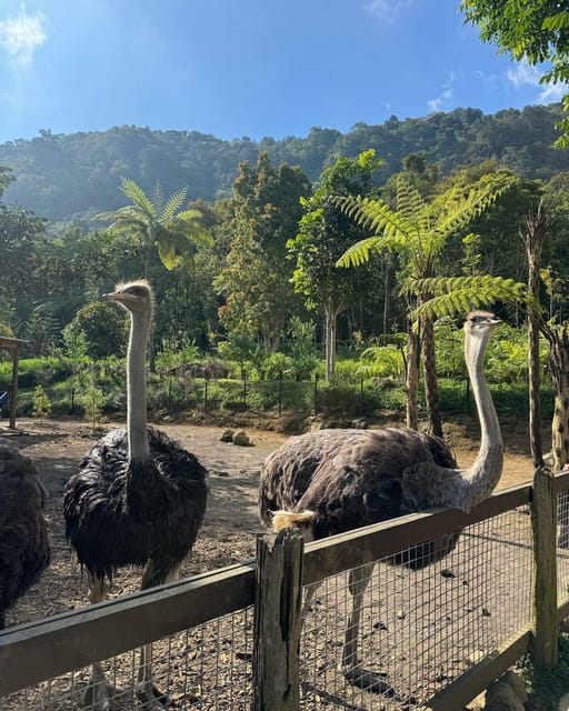 Family-Friendly Tour to North Bali - Pickup and Drop-off Locations