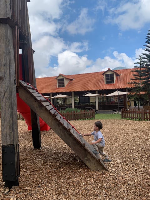 Family-Friendly Tour to North Bali - Included in the Tour