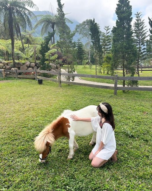 Family-Friendly Tour to North Bali - Important Information
