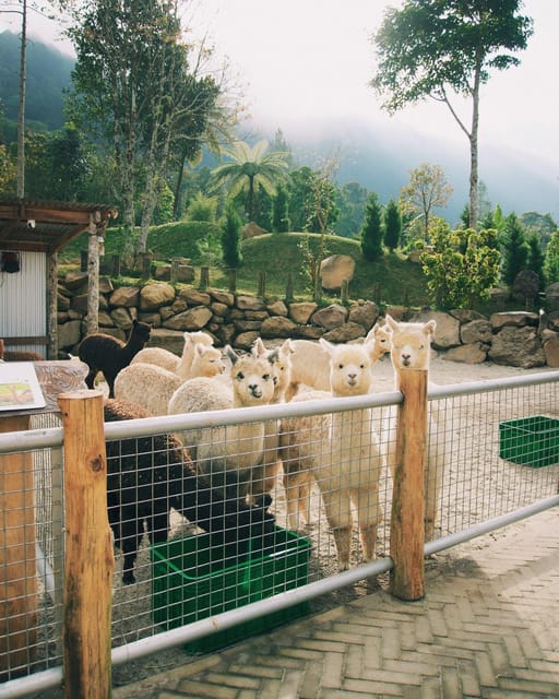 Family-Friendly Tour to North Bali - Frequently Asked Questions