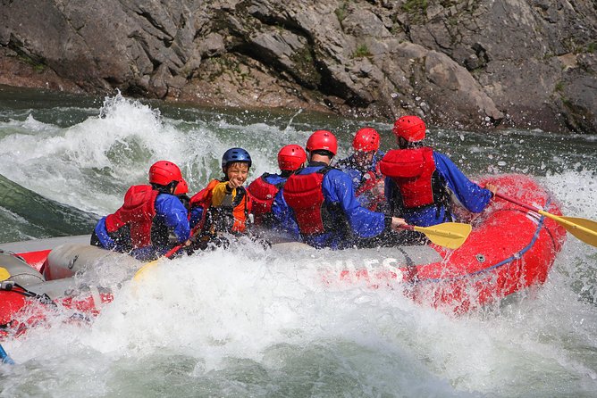 Family Friendly Whitewater Rafting - Spotting Wildlife Along the Way