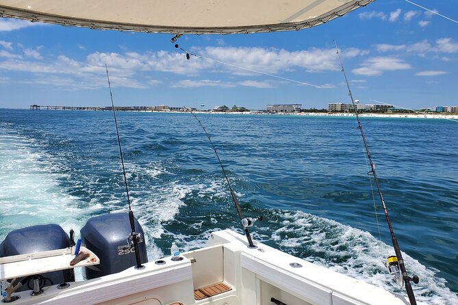 Family Fun Combo: Dolphins, Fishing & Swimming (Flowing Water Charters) - Inclusions and Amenities