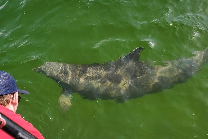Family Fun Combo: Dolphins, Fishing & Swimming (Flowing Water Charters) - Meeting and Ending Points