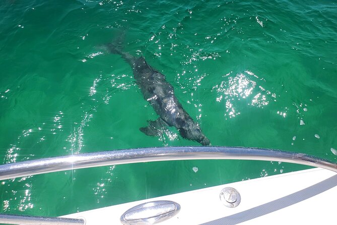 Family Fun: Fishing, Dolphins & Snorkel (Flowing Water Charters) - Meeting and Pickup Details
