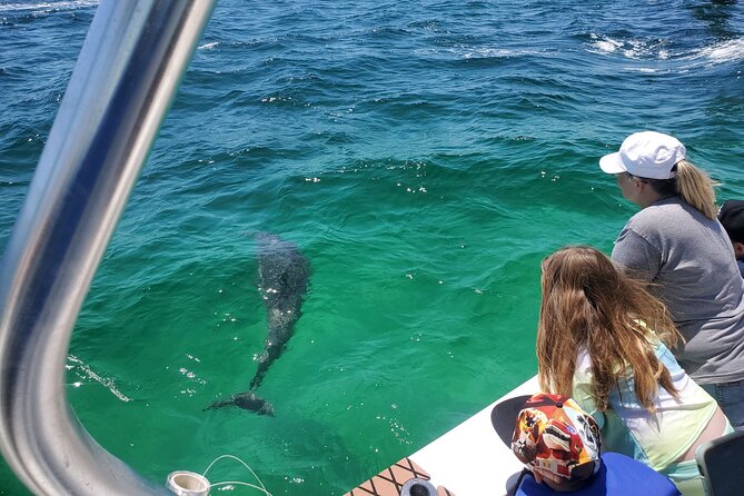 Family Fun: Fishing, Dolphins & Snorkel (Flowing Water Charters) - Participation and Accessibility