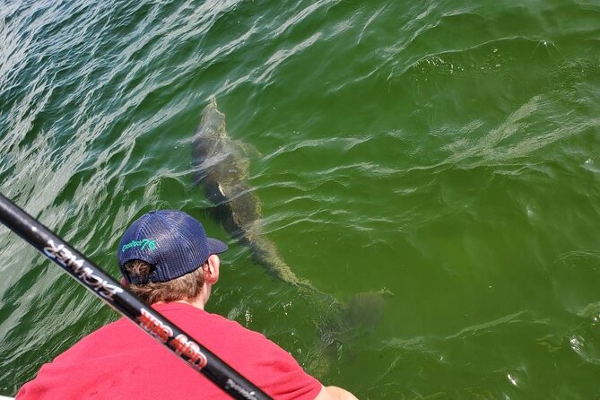 Family Fun: Fishing, Dolphins & Snorkel (Flowing Water Charters) - Capturing Memories Underwater