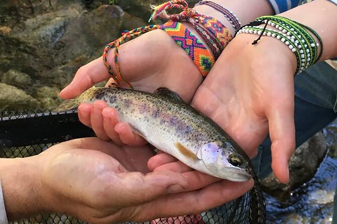 Family Fun Private Half Day Fly Fishing Adventure - Included in the Experience