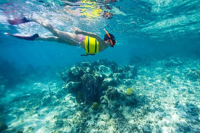 Family Fun-Snorkeling Activity in Montego Bay W/Lunch Stop - Positive Guest Experiences