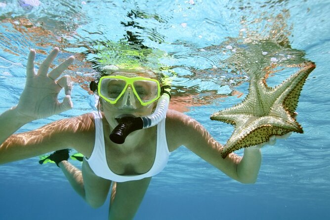 Family Fun-Snorkeling Activity in Montego Bay W/Lunch Stop - Addressing Concerns Raised