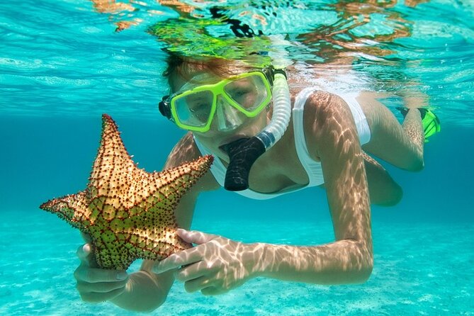 Family Fun-Snorkeling Activity in Montego Bay W/Lunch Stop - Private Tour Details