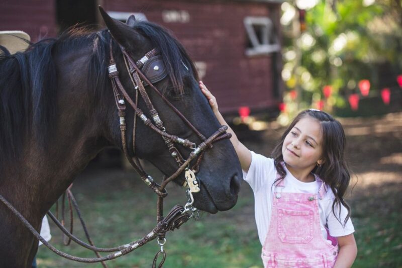 Family Fun With Peruvian Paso Horses: Ride, Feed, and Bond - Expert-Guided Tour Highlights