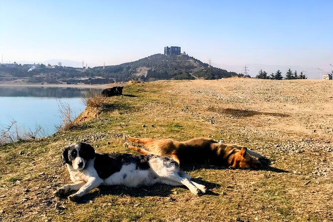 Family Half-Day Tour: Sabaduri, Georgian Chronicles, & Jvari - Preparation and Recommendations