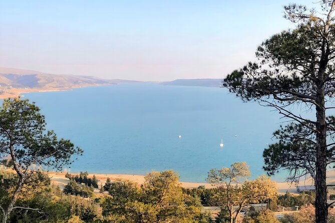 Family Half-Day Tour: Sabaduri, Georgian Chronicles, & Jvari - Sabaduri Forest