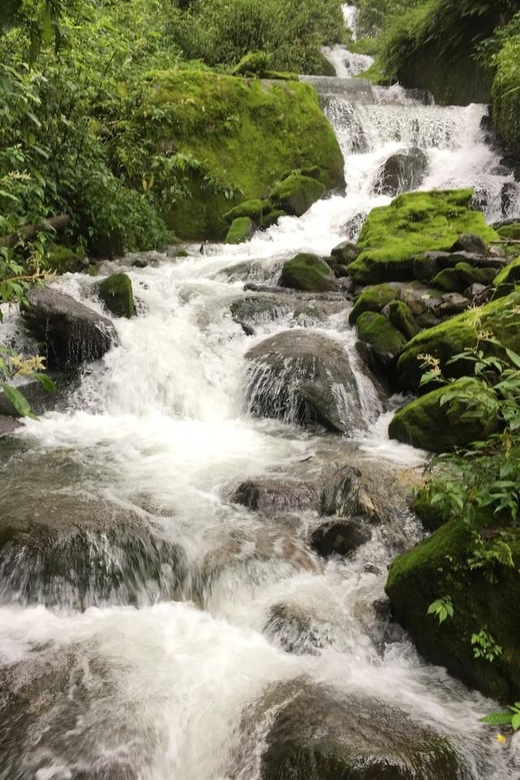 Family Helambu Circuit Trek - Trek Experience
