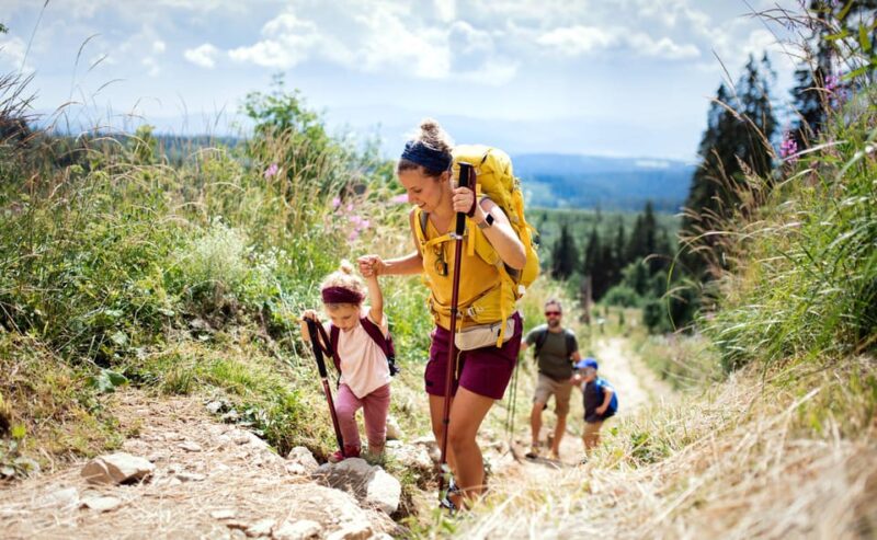 Family Helambu Circuit Trek - Exclusions