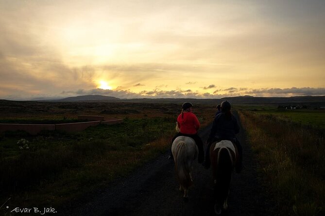Family Horse Riding Tour in Thorlakshofn - Included Amenities