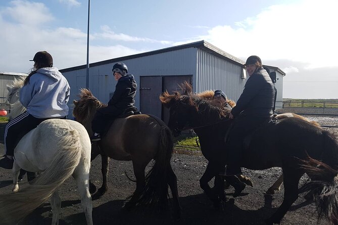 Family Horse Riding Tour in Thorlakshofn - Meeting and Pickup