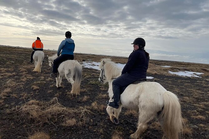 Family Horse Riding Tour in Thorlakshofn - Considerations for Booking