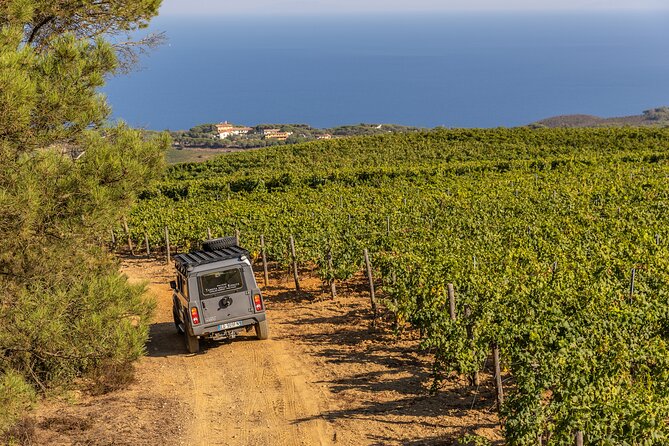 Family Jeep Tour at Ripalte - Exploring Mediterranean Nature