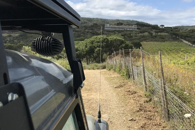 Family Jeep Tour at Ripalte - Tour Highlights and Inclusions