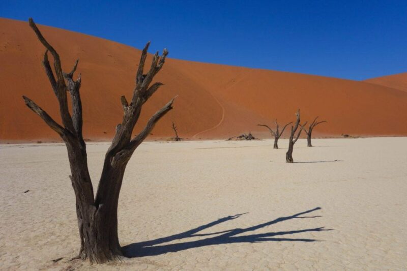 Family Joy in Fuerteventura Walking Tour - Family-Friendly Fun and Relaxation