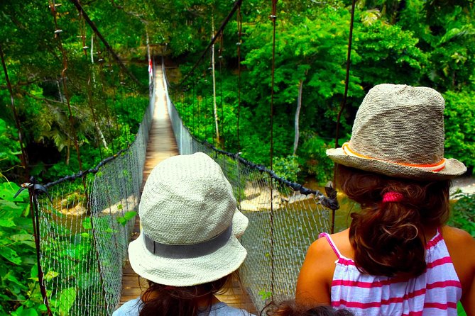 FAMILY JUNGLE TOUR: Orangutan Trek (4-Hours Hike) by Ecotravel Bukit Lawang - Eco-Friendly Tour Operator