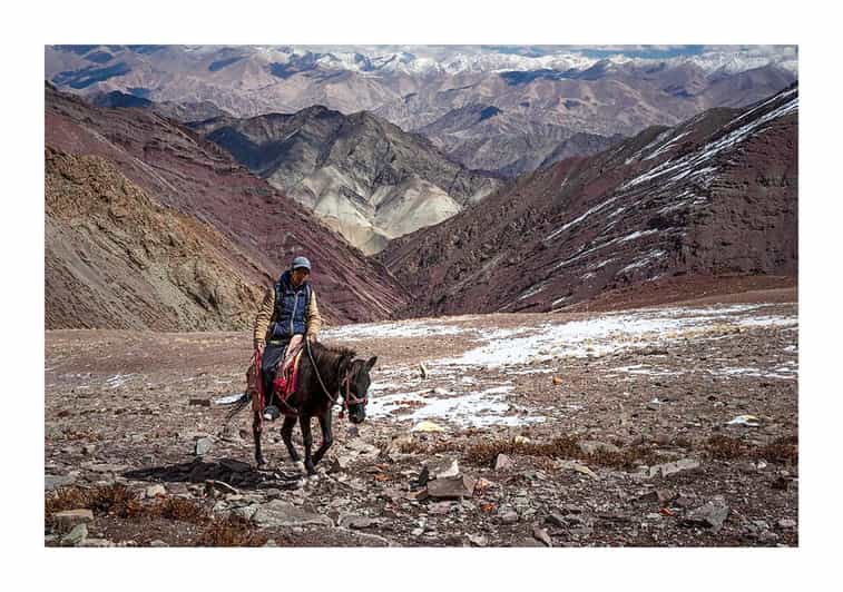 Family Langtang Valley Horseback Riding Trek - Itinerary