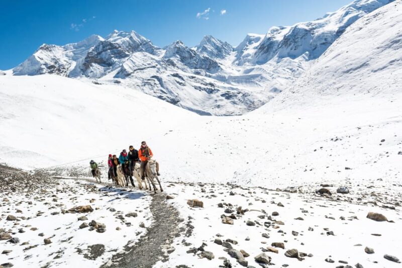 Family Langtang Valley Horseback Riding Trek - Trekking Experience