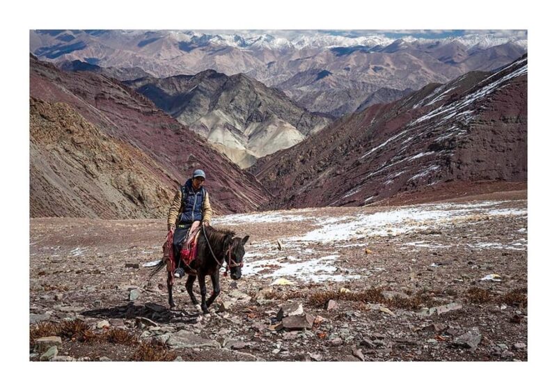 Family Langtang Valley Horseback Riding Trek - Private Group Experience