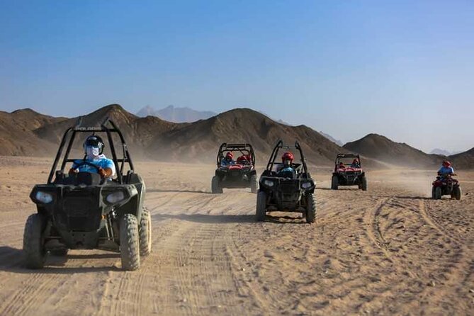 Family or Double Buggy Safari & Bedouin Village in Sharm - Pricing and Cancellation Policy