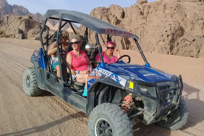 Family or Double Buggy Safari & Bedouin Village in Sharm - Customer Feedback and Ratings