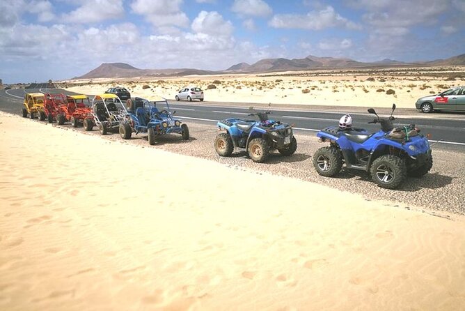Family or Double Buggy Safari & Bedouin Village in Sharm - Additional Fees and Costs