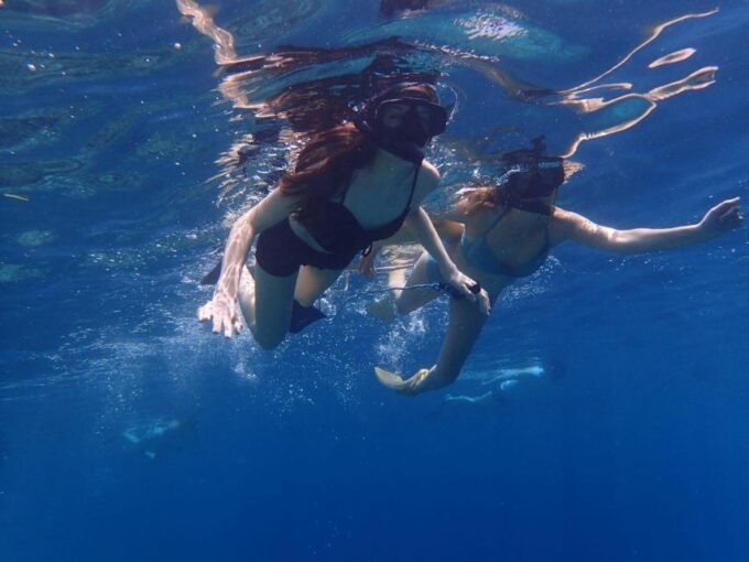 Family or Group Sunset Picnic Snorkeling at Menjangan Island - Frequently Asked Questions