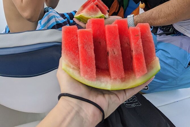 Family Package Private Fishing and Snorkeling - Overview of the Tour