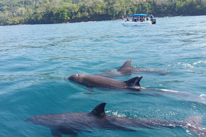 Family Package Private Fishing and Snorkeling - Reviews and Ratings