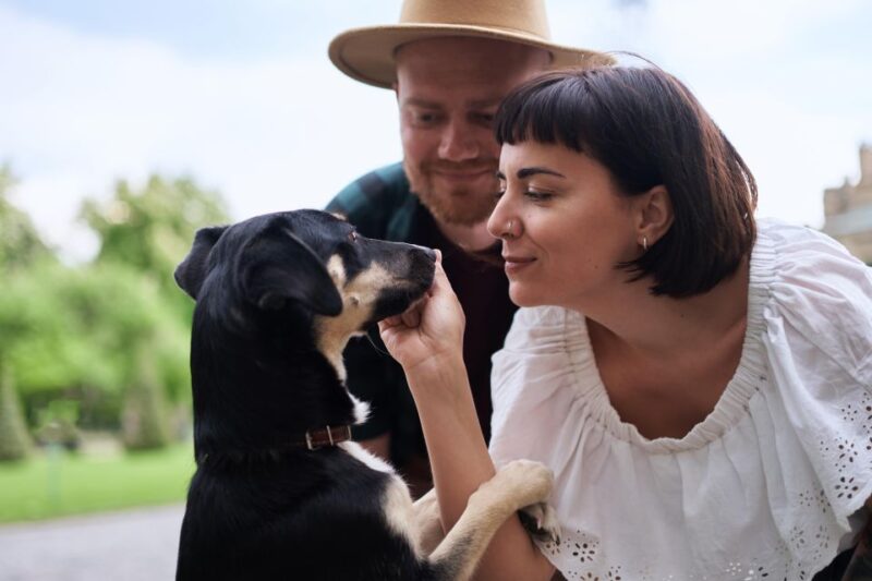 Family Photoshoot in Sydney - Photo Delivery Process