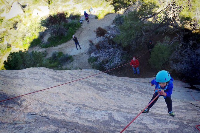 Family Rock Climbing Trips in Joshua Tree National Park (6 Hours) - Safety and Equipment