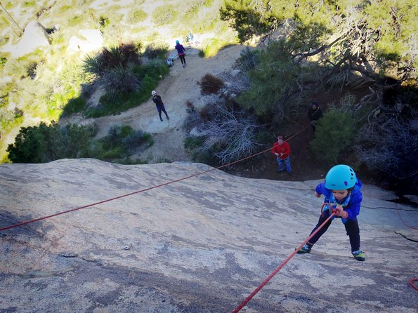 Family Rock Climbing Trips in Joshua Tree National Park (8 Hours) - Physical Fitness Level Required