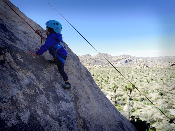 Family Rock Climbing Trips in Joshua Tree National Park (8 Hours) - Refund and Cancellation Policy